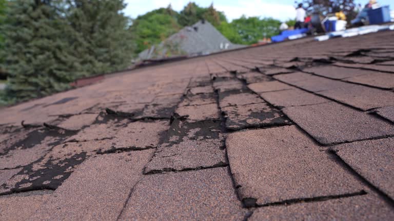 Emergency Roof Repair in Bainbridge, OH